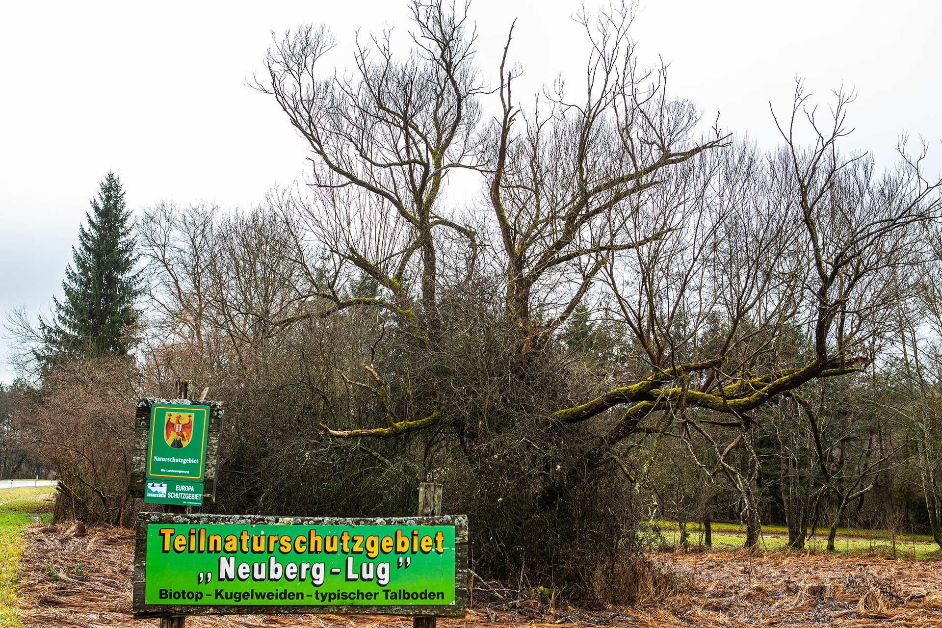 Gemeinde Neuberg - Naturschutzgebiet Bachaue Lug